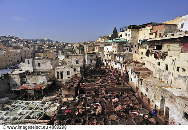 Kalk- und Färbebottiche  Gerber- und Färberviertel  FËs  Marokko  Afrika