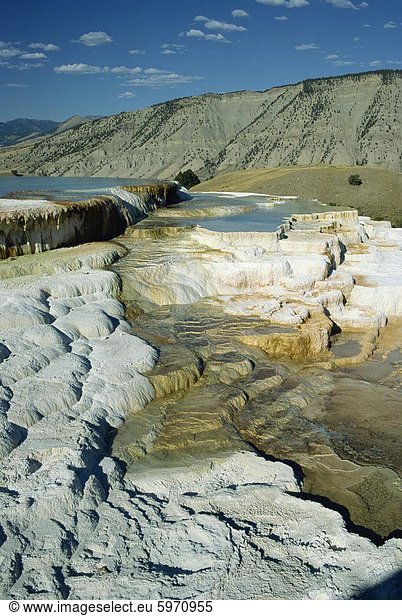 Kalkstein-Terrassen durch vulkanische Wasser Hinterlegung sechs Zoll von Calciumcarbonat gebildet  Mammoth Hot Springs im Jahr und Terrassen  Yellowstone National Park  UNESCO Weltkulturerbe  Wyoming  Vereinigte Staaten von Amerika  Nordamerika