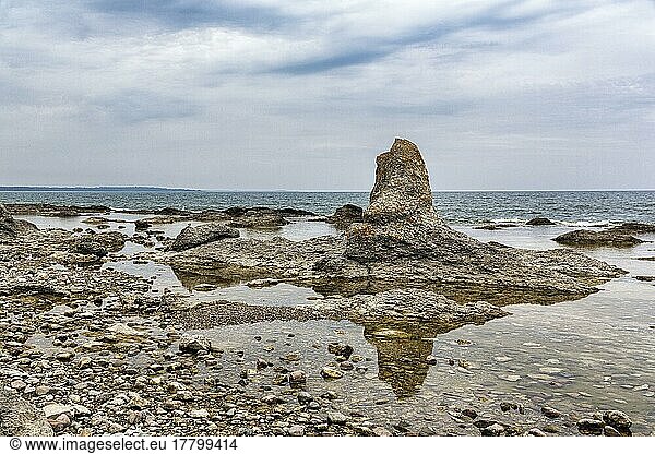 Kalksteinsäule  Felsen an der Küste  Erosion  Folhammar Naturreservat  Insel Gotland  Ostsee  Schweden  Europa