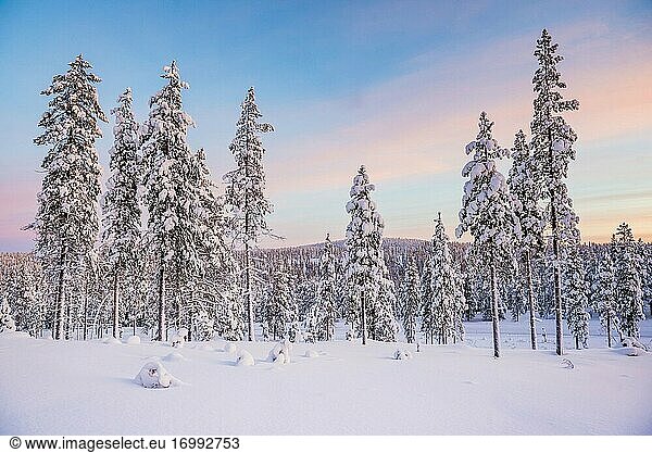 Kalte schneebedeckte eisige Winterlandschaft bei Sonnenuntergang innerhalb des Polarkreises in Lappland in Finnland