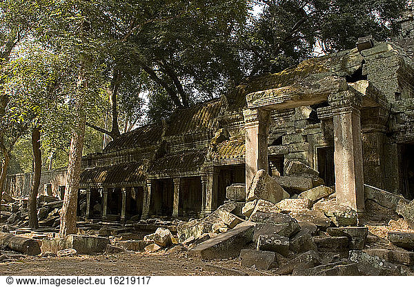 Kambodscha  Angkor  Siem Reap  Ta-Prohm-Tempel