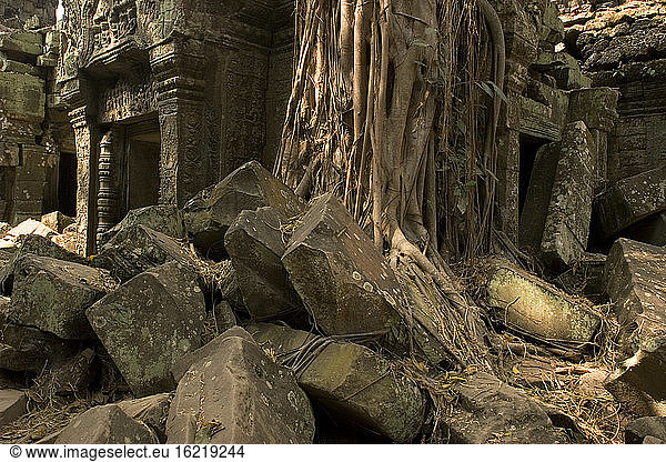 Kambodscha  Angkor  Siem Reap  Ta-Prohm-Tempel  Ruinen