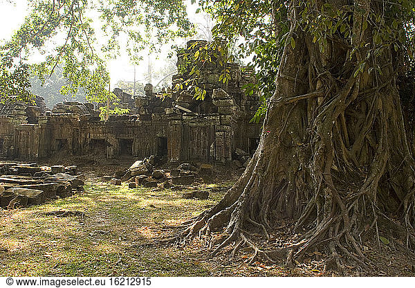Kambodscha  Siem Reap  Preah-Khan-Tempel  Ruinen