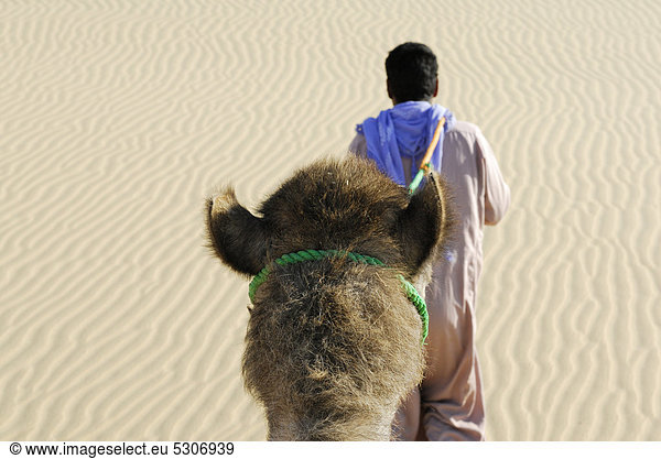 Kamelführer  Kamel  Dromedar (Camelus dromedarius)  Wüstentrekking  Oase Dakhla  Libysche Wüste  Sahara  Ägypten  Afrika