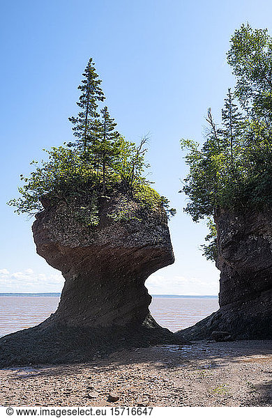 Kanada  New Brunswick  Formation Hopewell Rocks in der Bay of Fundy