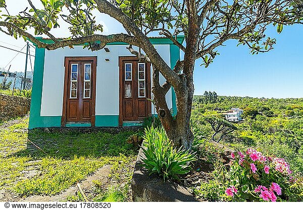 Kanarisches Haus in Las Tricias  Insel La Palma  Kanarische Inseln  Spanien  Europa