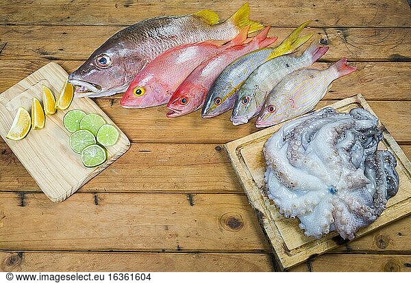 Karibische frische Meeresfrüchte  Fische und Oktopus auf einem Holztisch. Ansicht von oben. Nahaufnahme.