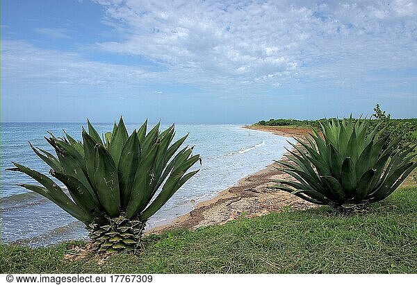 Karibisches Meer in Kuba