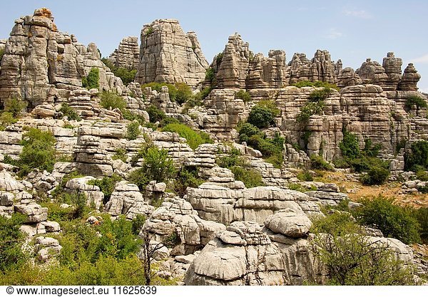 Karst in limestones. El Torcal de Antequera World Heritage  Malaga  Andalusia  Spain.