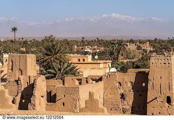 Kasbah Amerhidil or Imridil and date palms of Skoura oasis  Ouarzazate  Kingdom of Morocco  Africa.