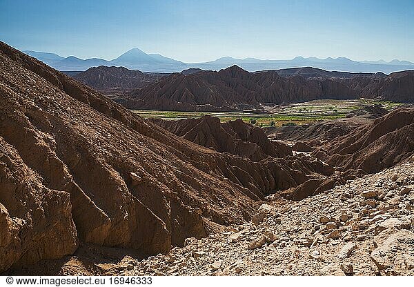 Katarpe-Tal  etwas außerhalb von San Pedro de Atacama  Atacama-Wüste  Nordchile