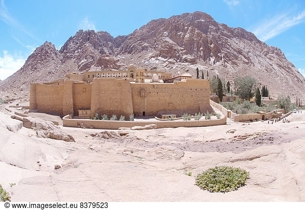 Katharinenkloster  Sinai  Ägypten