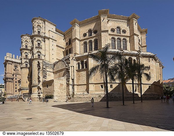 Kathedrale  Catedral de la Encarnacón  Málaga  Costa del Sol  Andalusien  Spanien  Europa