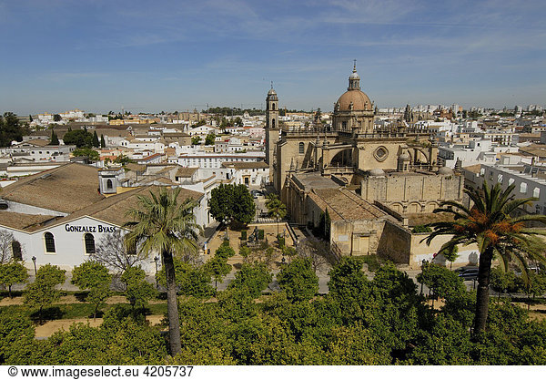 Kathedrale   Jerez de la Frontera   Cadiz   Andalusien   Spanien   Europa