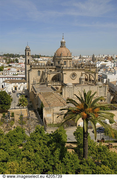 Kathedrale   Jerez de la Frontera   Cadiz   Andalusien   Spanien   Europa