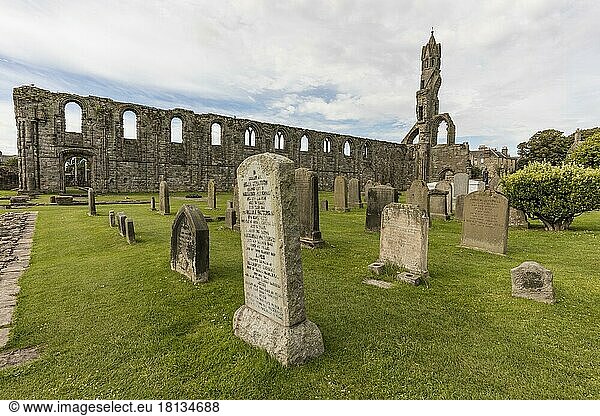 Kathedrale St. Andrews  Schottland  Großbritannien  Europa