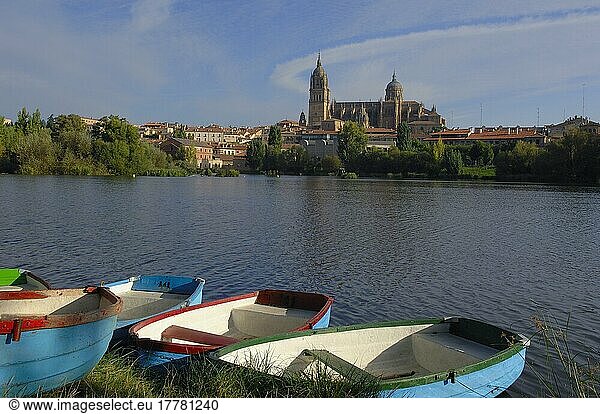 Kathedrale und Fluss Tormes  Salamanca  Kastilien-León  Spanien  Europa