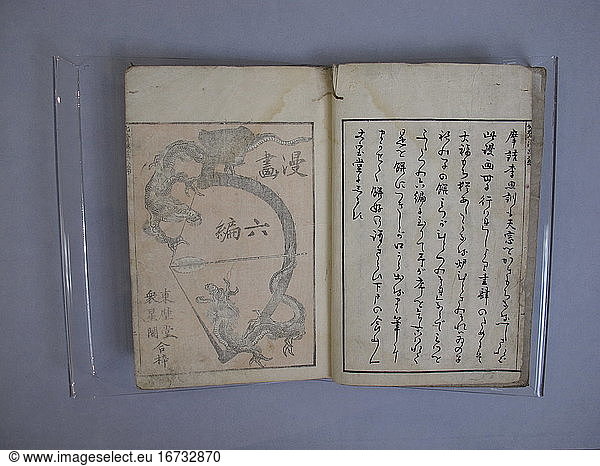 Katsushika Hokusai 1760–1849. Illustrated book  ca. 1615–1868. Edo period (1615–1868).
Woodblock printed book; ink and color on paper  22.9 × 15.9 × 1 cm.
Inv. Nr. JIB81.6
New York  Metropolitan Museum of Art.
