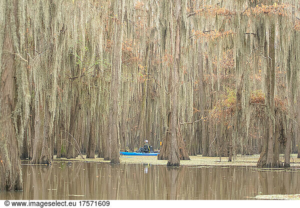 kayak in the cypress forest