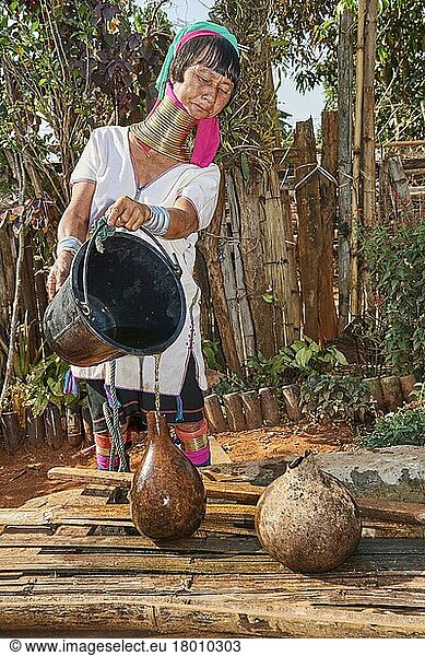 Kayan-Lahwi-Frau mit Messinghalsschleifen und traditioneller Kleidung  die einen Krug mit Wasser füllt  das aus dem Brunnen unten entnommen wird. In den Bergen der Pan-Pet-Region stammt ihre einzige saubere Wasserquelle aus dem Regen  der in großen Brunnen gesammelt wird  Pan-Pet-Region  Bundesstaat Kayah