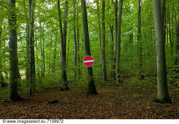 Kein Einfahrtsschild im Wald