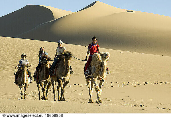 Khongoryn Els sand dunes  Gobi National Park  Mongolia