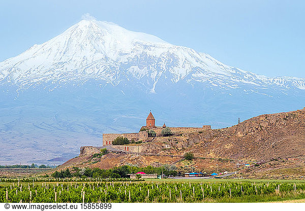 Khor-Virap-Kloster und Berg Ararat  Ararat-Provinz  Armenien