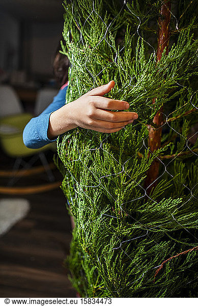 Kid carrying and setting up freshly cut christmas tree at home
