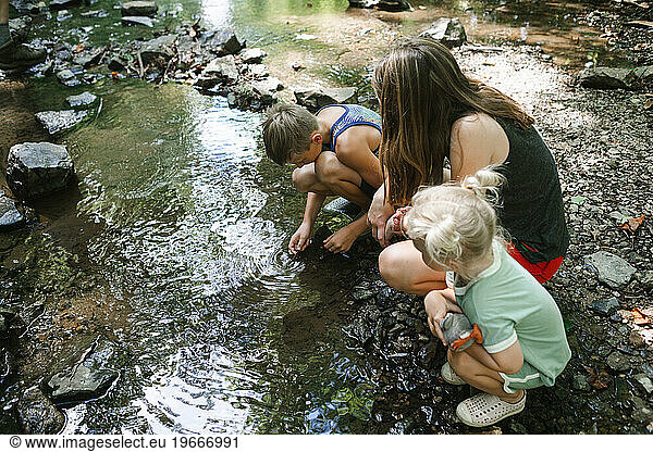Kids exploring water on creek bank on summer day