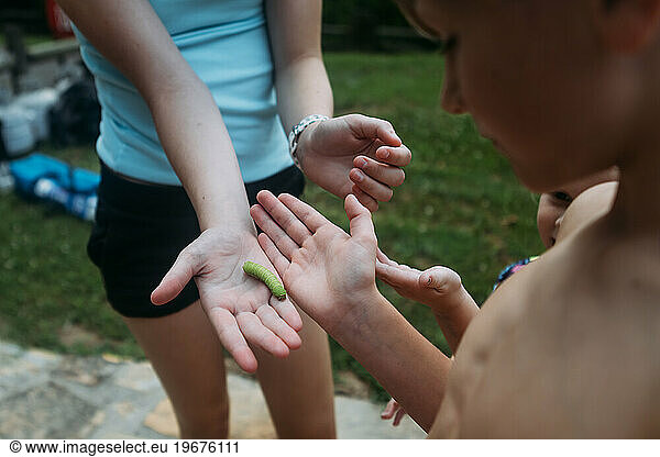 Kids holding and observing green caterpillar