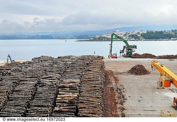 Kiefernholzladung im Hafen von Ribadeo. Provinz Lugo. Galicien. Spanien