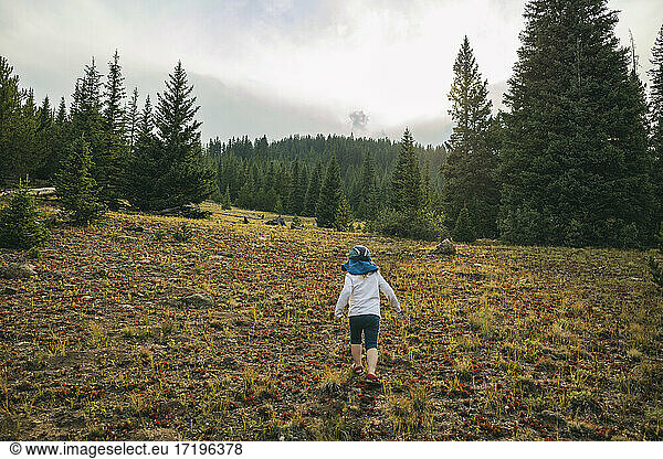 Kind erkundet die Wildnis in Colorado