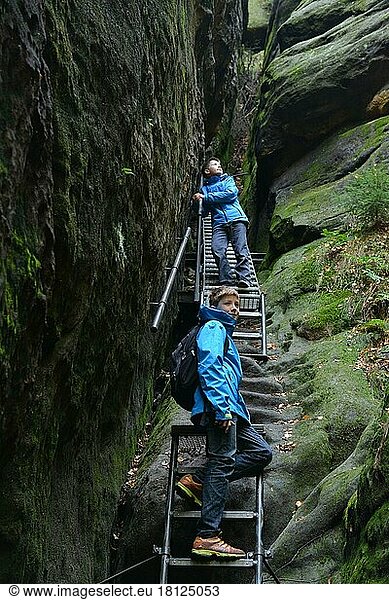 Kinder auf Treppe  Leiter  Wanderer  Schrammsteine  Elbsandsteingebirge  Sächsische Schweiz  Sachsen  Deutschland  Sächsische Schweiz  Europa
