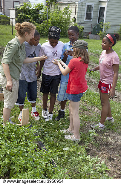 Kinder betrachten eine Raupe  die sie im Garten gefunden haben  in einem Programm namens Growing Healthy Kids für Kinder im Alter von 5-11 Jahren  in einem Earthworks Urban Garden Garten  in dem Nahrung für die Capuchin Soup Kitchen Suppenküche angebaut wird  Detroit  Michigan  USA