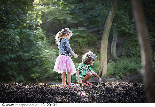 Kinder erforschen Sand im Wald