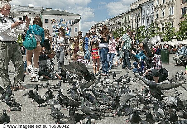 Kinder füttern Tauben auf dem Hauptmarkt  Krakau  Polen.