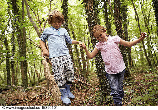 Kinder gehen Hand in Hand im Wald