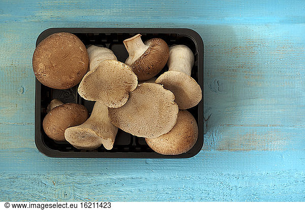 King oyster mushrooms and brown mushroom in plastic container on table