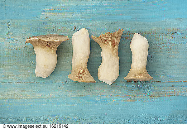 King oyster mushrooms on table  close up