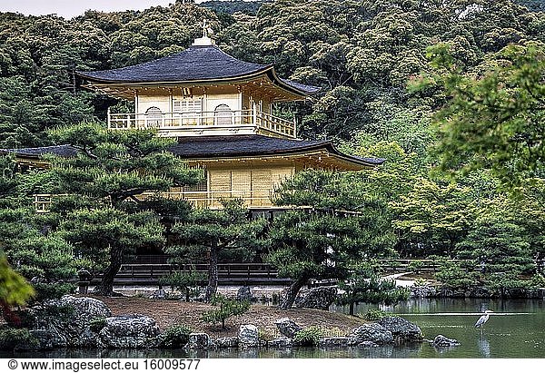 Kinkaku-ji  Goldener Tempel in Kyoto  Japan.