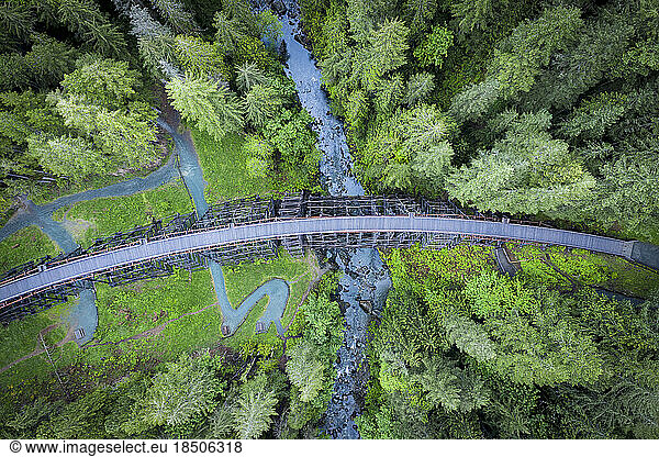 Kinsol Trestle in the middle of the forest  Vancouver Island  Canada