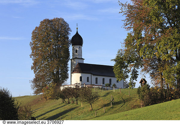 Kirche St. Maria in Oberbuchen bei Bad Heilbrunn  Oberbayern  Bayern  Deutschland  Europa