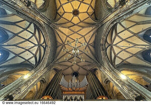 Kirchenorgel und Decke des Stephansdom in Wien  ?sterreich  Europa | St. Stephen's Cathedral church organ and ceiling  Vienna  Austria  Europe.