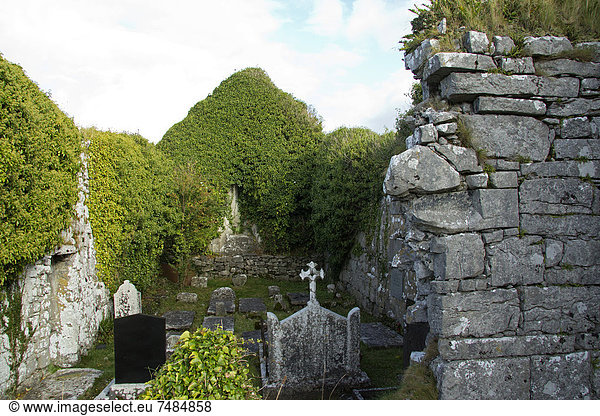 Kirchenruine bei Ballyvaughan  Burren  County Clare  Irland  Europa