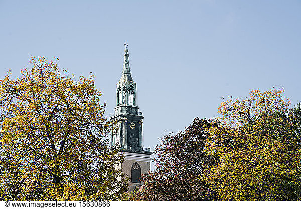 Kirchturmspitze der St. Marienkirche inmitten herbstlicher Baumkronen  Berlin  Deutschland
