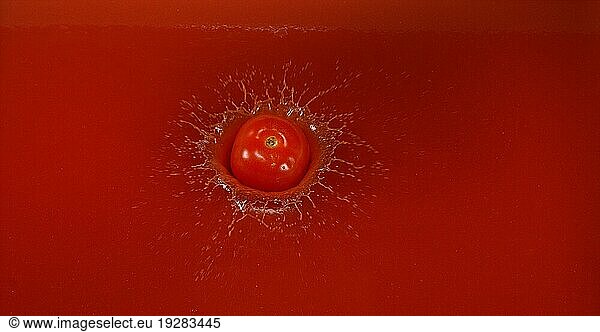 Kirschtomate (Solanum lycopersicum)  Früchte  die in den Saft der Tomate fallen