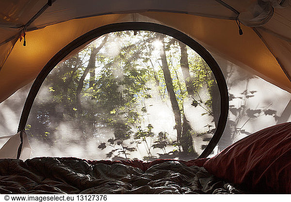 Kissen und Laken im Zelt im Wald