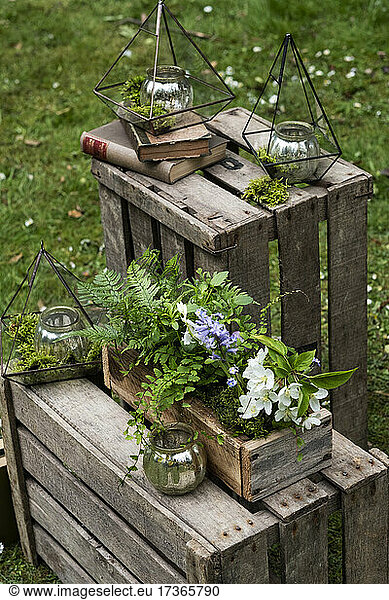 Kiste mit Wildblumen  Dekoration für eine Waldtaufe.