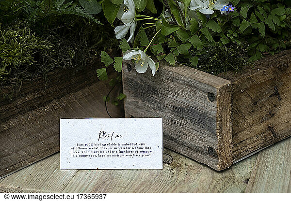 Kiste mit Wildblumen  Dekoration für eine Waldtaufe