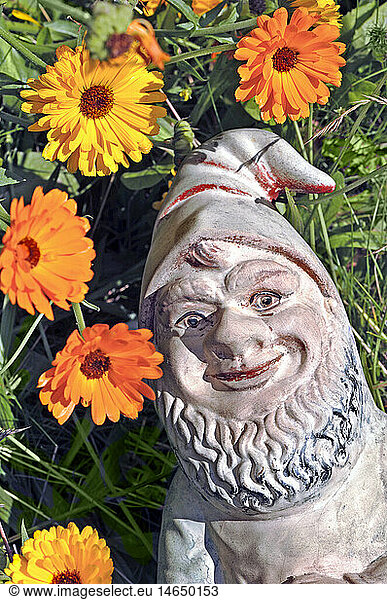 kitsch/souvenir  garden gnome  vintage garden gnome from the 1920s years  Germany  lying in the grass  dreaming  dream  dreamt  with open eyes  dreamy  dream away  dreaming away  dreams away  dreamt away  daydreamer  daydreaming  onflower meadow  meadow  meadows  meadow flower  meadow flowers  flowers  bloom  flower  blooming  flowering  plant  plants  flora  garden  gardens  summer  summerly  summery  summer's  cheerful  cheery  garden decoration  garden deco  decorative  old  historic  historical  antiquarian  smiling  smile  kitsch  hokum  souvenirs  souvenir  garden gnome  garden gnomes  20s  20th century